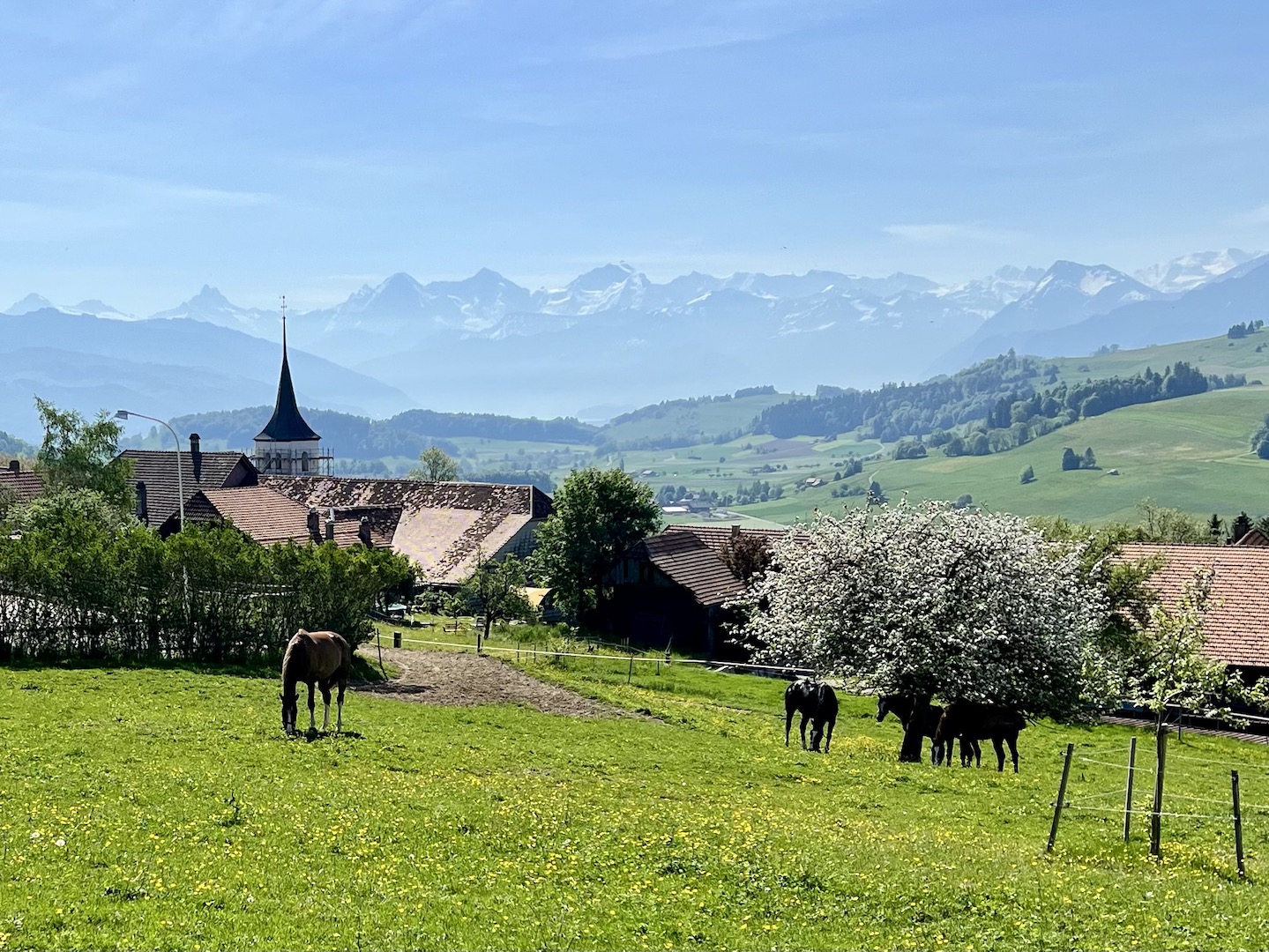 Hiking Switzerland And The Swiss Alps Segment 18 Swiss Cheese Trails